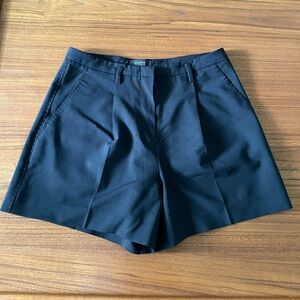 Aritzia Babaton Dress Shorts